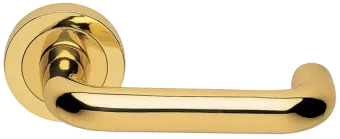 IRIS R2 OTL, ручка дверная, цвет - золото
