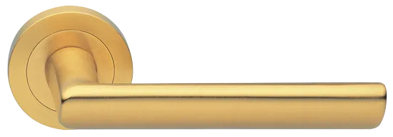STELLA R2 OSA, ручка дверная, цвет - матовое золото фото купить Минск