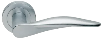 DALI R2 CSA, ручка дверная, цвет -  матовый хром